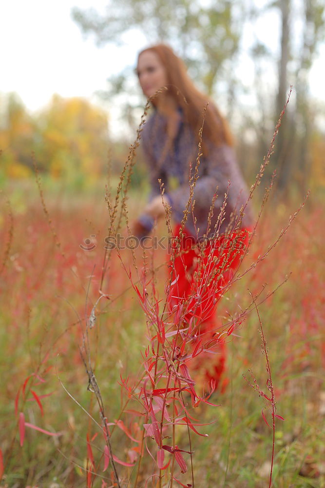 Similar – Image, Stock Photo fashion girl Young woman