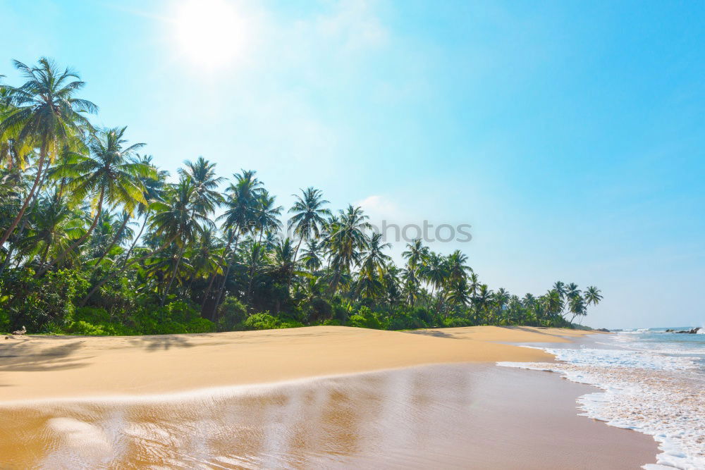 Similar – Image, Stock Photo Sri Lanka, Rathgama