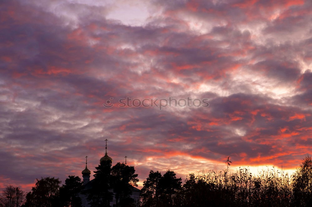 Similar – Image, Stock Photo New morning 2 Environment