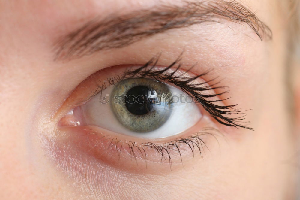 Similar – brown eye braun Wimpern