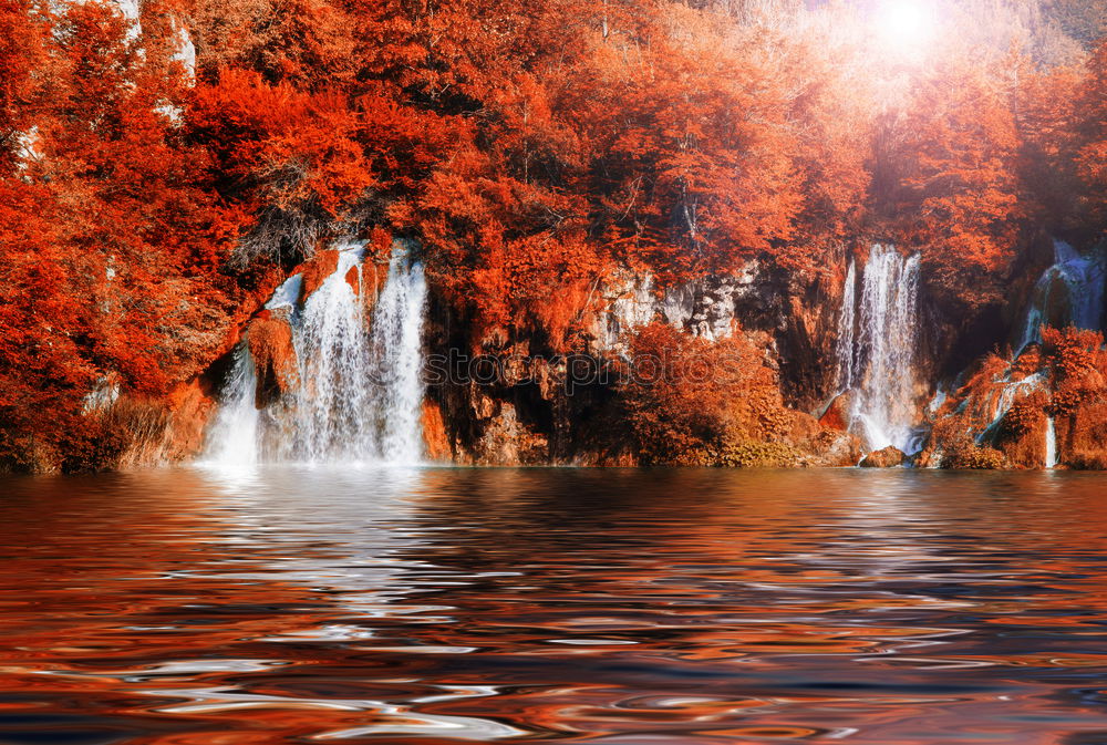 Similar – Image, Stock Photo Fall colors on autumn foggy river. Alden trees