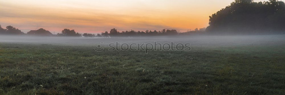 Similar – Image, Stock Photo sunrise Sunrise Fog Meadow