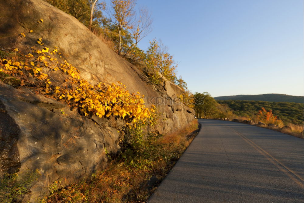 Similar – Image, Stock Photo Indian Summer @ Acadia NP