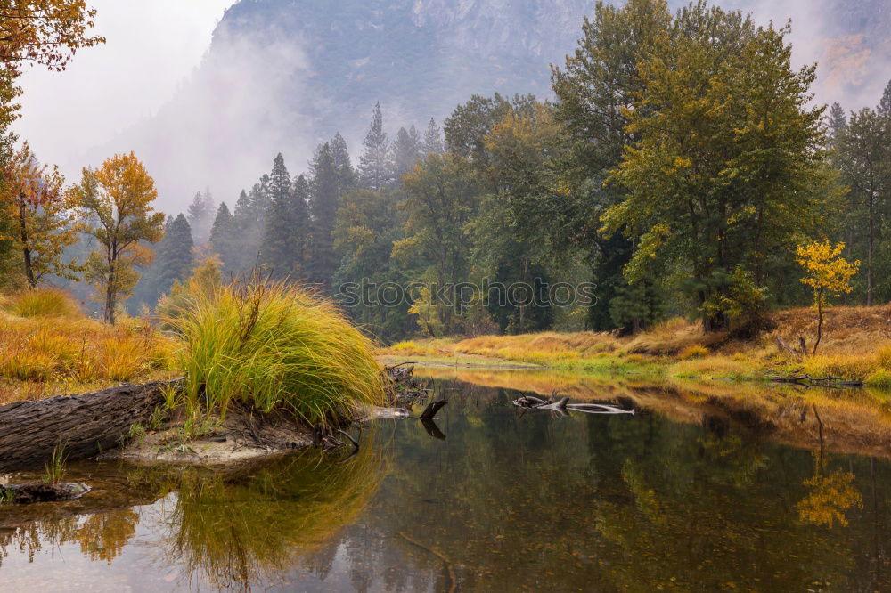 Similar – lake Environment Nature