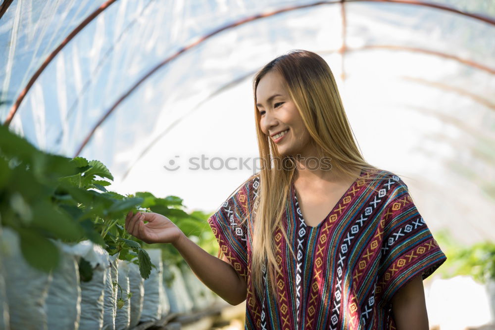 Similar – Image, Stock Photo Happy young woman farmer with wheelbarrow working in the greenhouse collecting vegetables. working in back yard, sunny nature. Funny rural collecting.