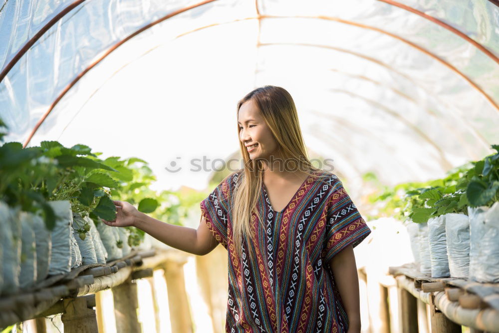 Image, Stock Photo Happy young woman farmer with wheelbarrow working in the greenhouse collecting vegetables. working in back yard, sunny nature. Funny rural collecting.