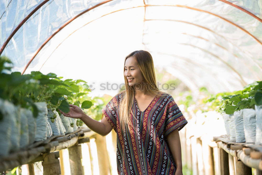 Similar – Image, Stock Photo Happy young woman farmer with wheelbarrow working in the greenhouse collecting vegetables. working in back yard, sunny nature. Funny rural collecting.