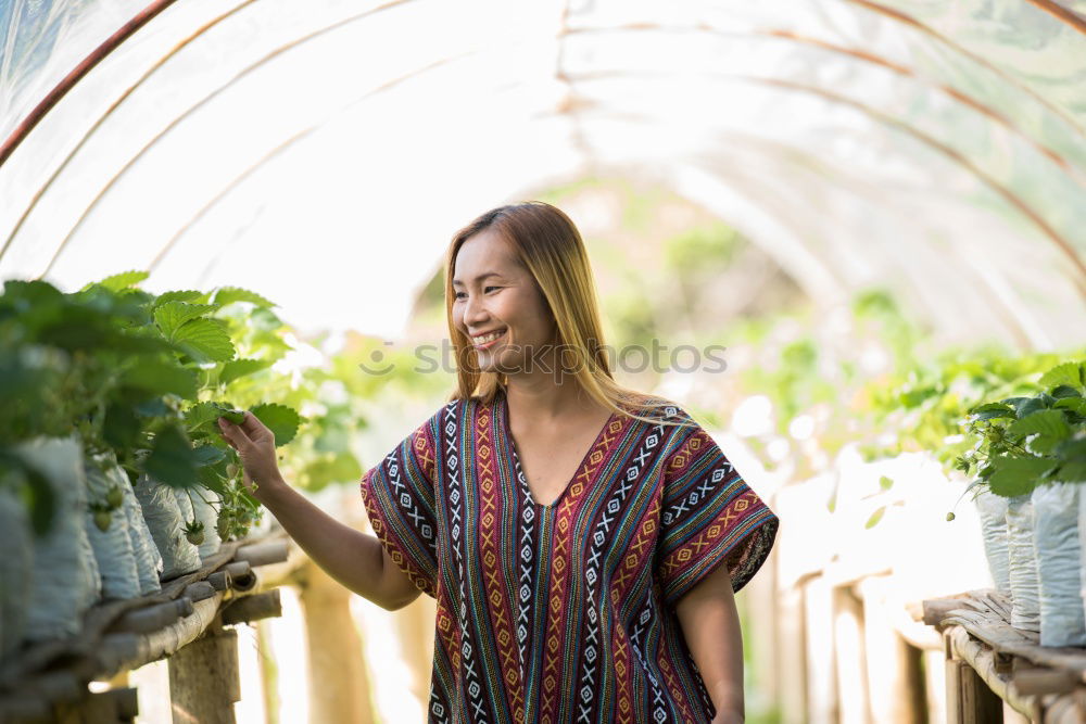 Similar – Image, Stock Photo Happy young woman farmer with wheelbarrow working in the greenhouse collecting vegetables. working in back yard, sunny nature. Funny rural collecting.