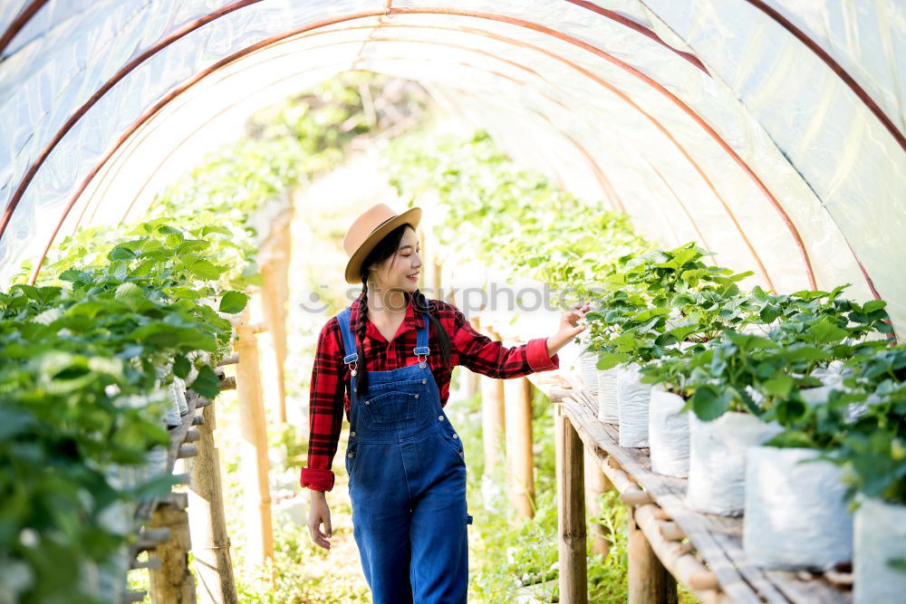 Similar – Image, Stock Photo Happy young woman farmer with wheelbarrow working in the greenhouse collecting vegetables. working in back yard, sunny nature. Funny rural collecting.