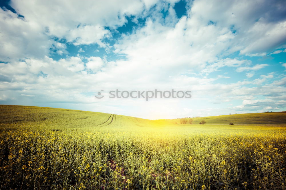 Similar – Weiß-blau-grün-gelb Umwelt