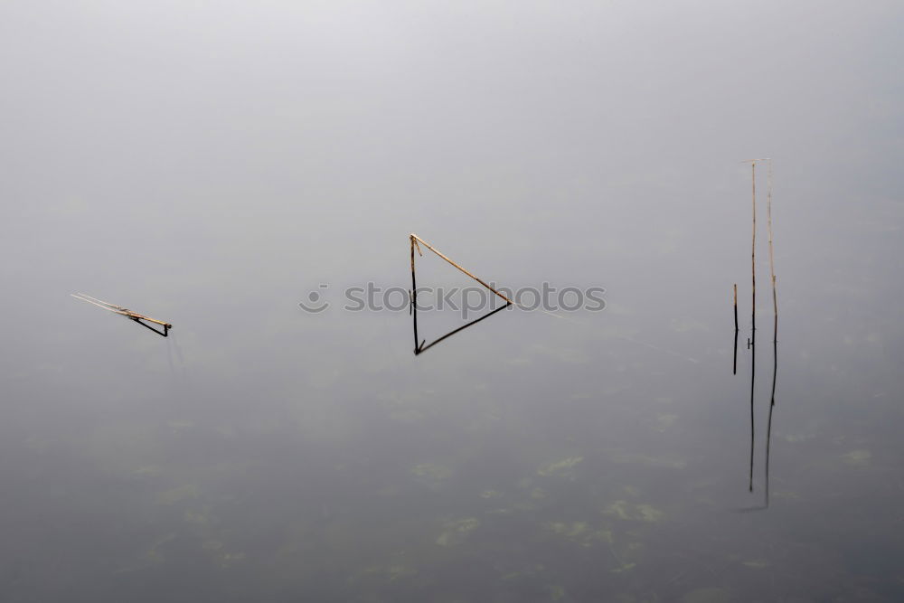 Similar – neulich am See Wasser