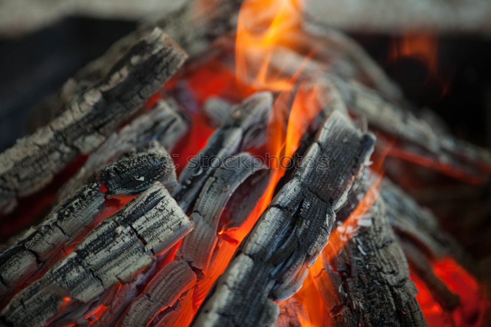 Similar – Image, Stock Photo Closeup of the wood burns on fire