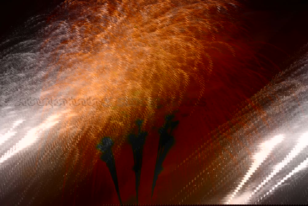 Similar – Foto Bild goldregen Explosion