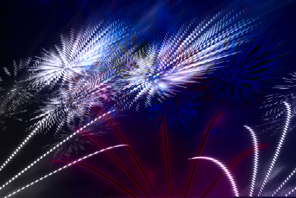Similar – Image, Stock Photo Blue and red colorful fireworks on the black sky