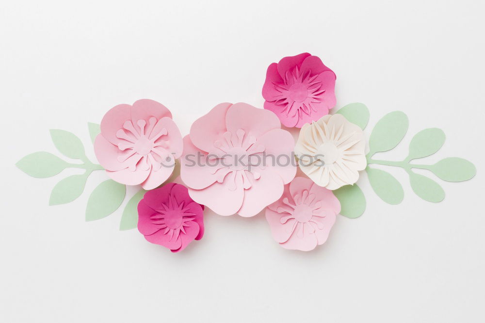 Similar – Image, Stock Photo Pale Pink Flowers Still Life