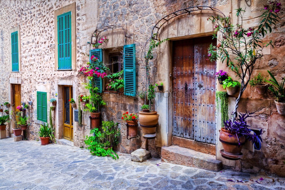 Similar – Image, Stock Photo Spanish alley. Art Village