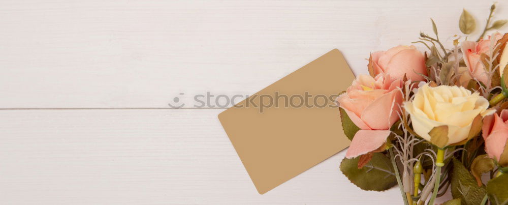 Similar – Image, Stock Photo Good morning spring !