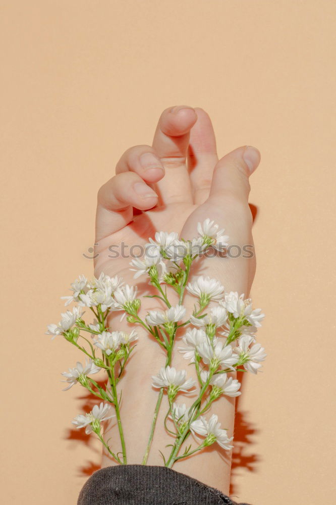 Similar – Image, Stock Photo flower holder Flower