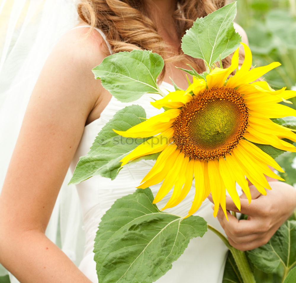 Similar – Image, Stock Photo A bouquet full of summer