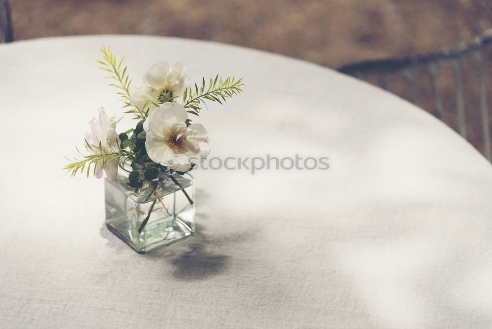 Similar – Image, Stock Photo bridegroom Human being