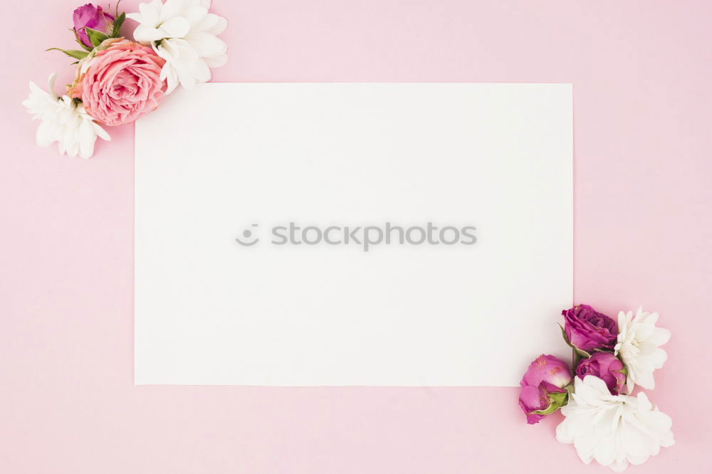 Similar – Image, Stock Photo floral greeting Plant Tree