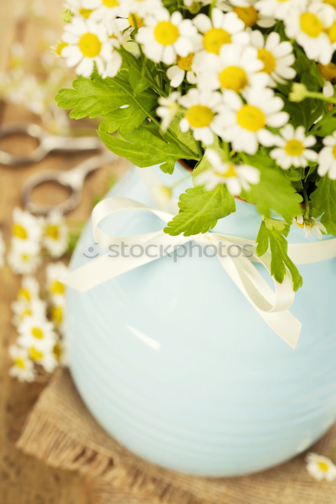 Similar – Image, Stock Photo Summer Honey Food Candy