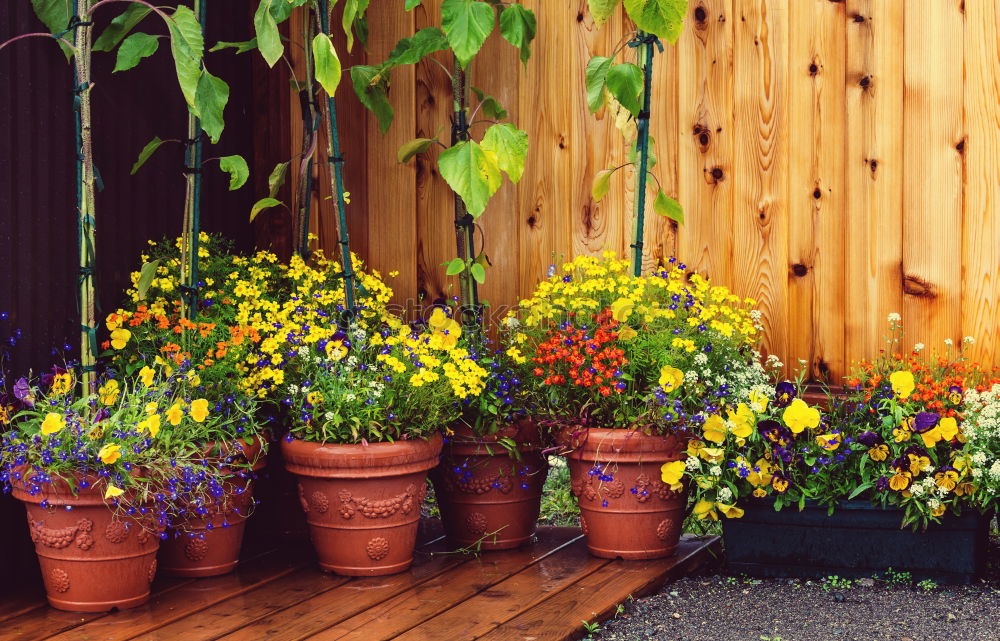 Similar – Wall pots. Art Environment