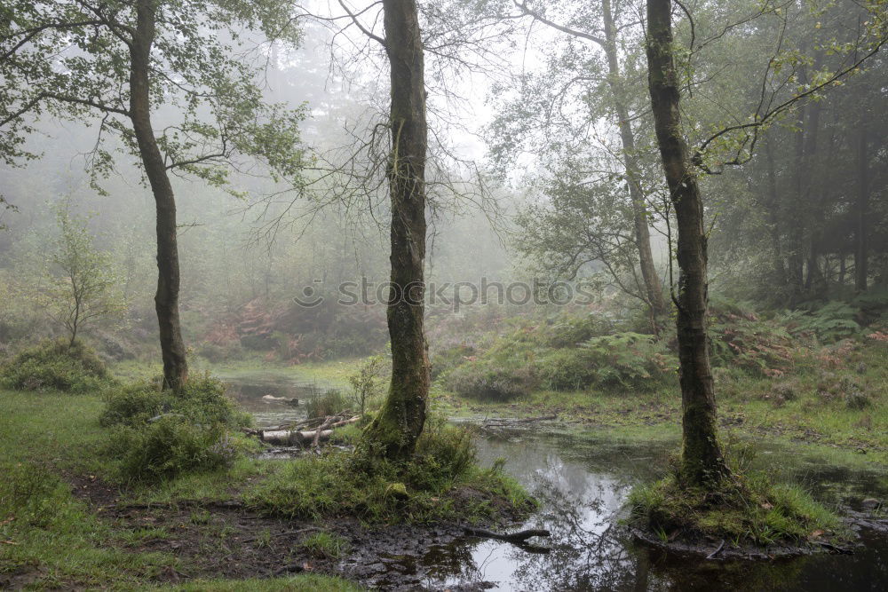 Similar – Image, Stock Photo foretaste Nature Landscape