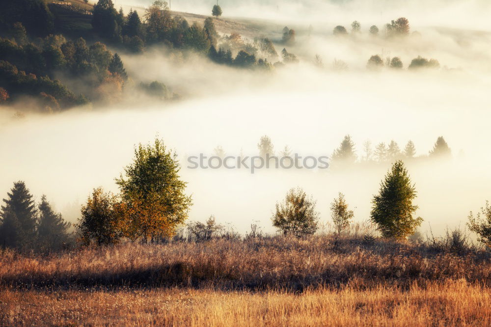 Tower of rural church in misty autumn colorful morning