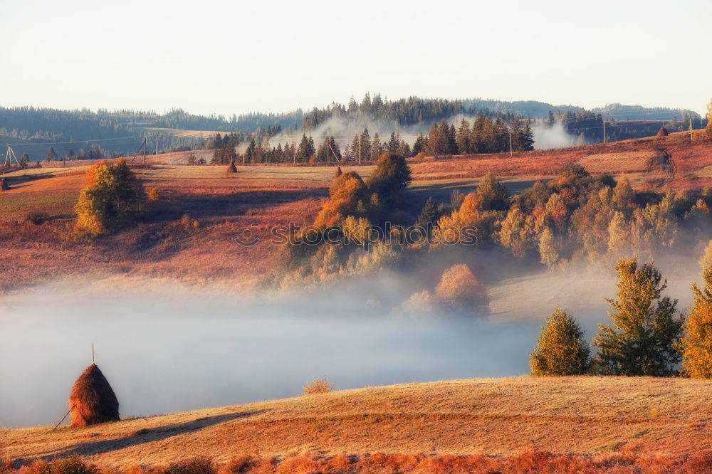 Similar – Tower of rural church in misty autumn colorful morning