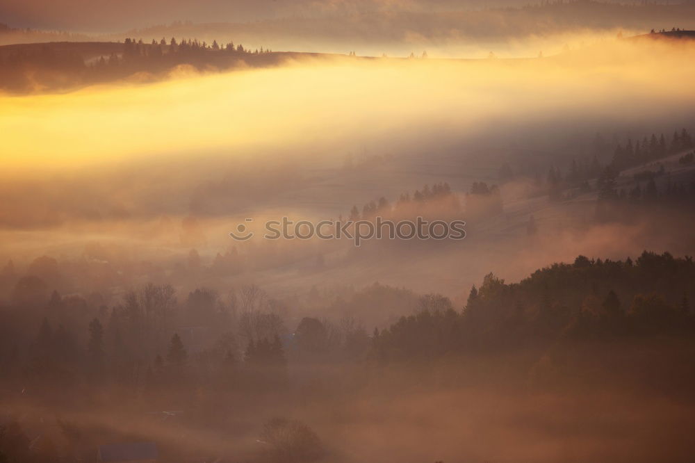 Similar – winter hike in the northern Black Forest on a sunny day