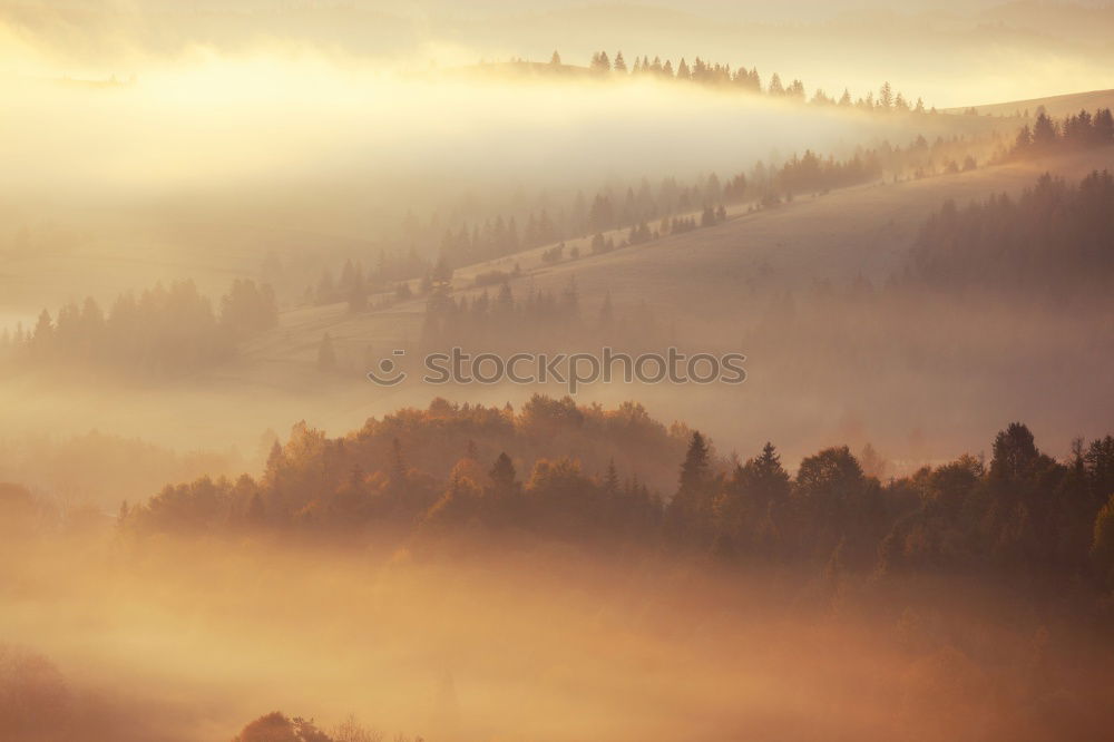 Similar – Tower of rural church in misty autumn colorful morning