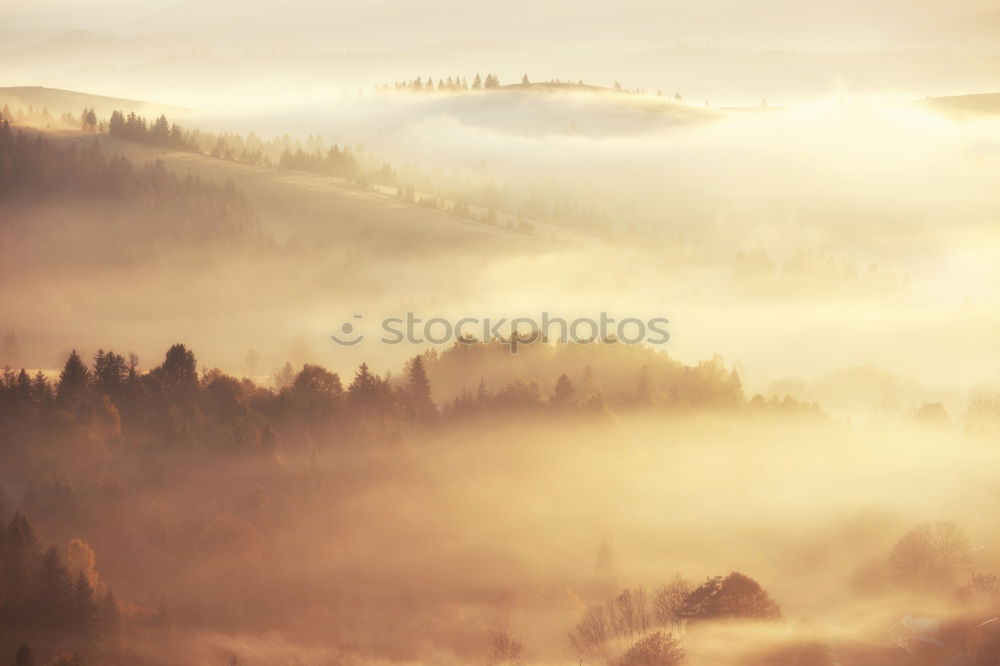 Similar – Tower of rural church in misty autumn colorful morning