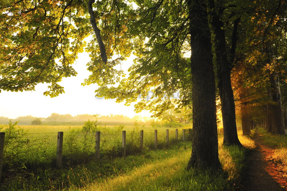 Similar – Foto Bild kleines Idyll Erholung