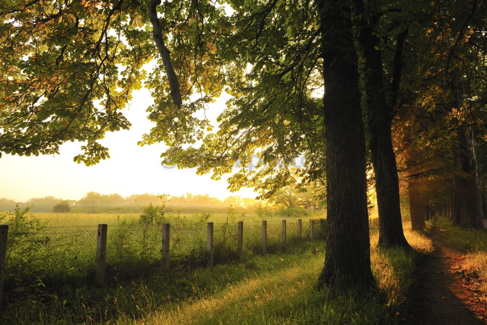 Similar – Foto Bild kleines Idyll Erholung