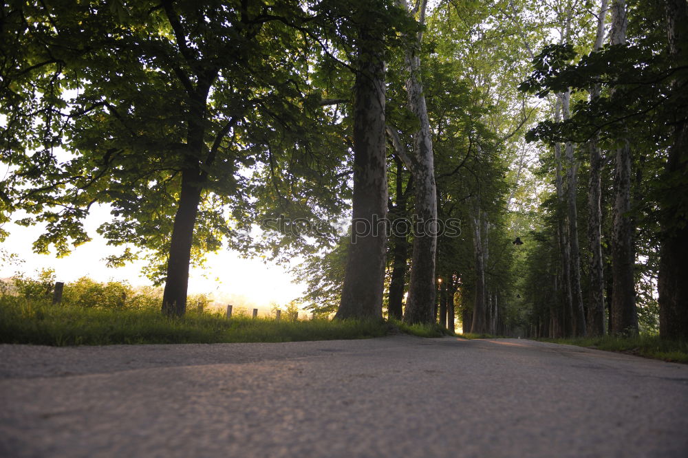 Similar – Road sign at road in forest