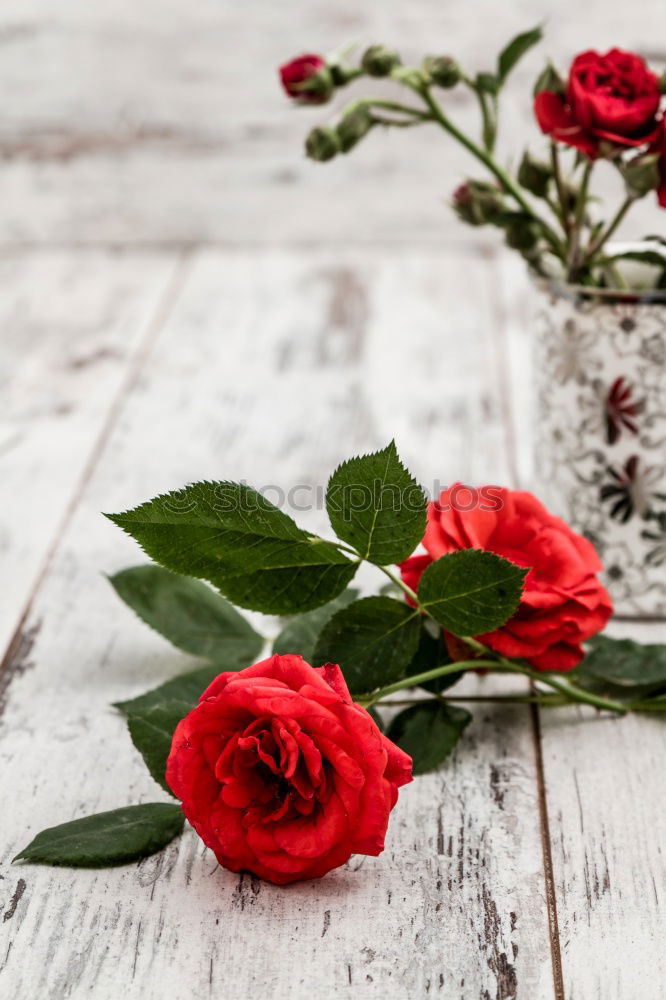 Similar – Image, Stock Photo Flowers and old scissors on wet wooden table