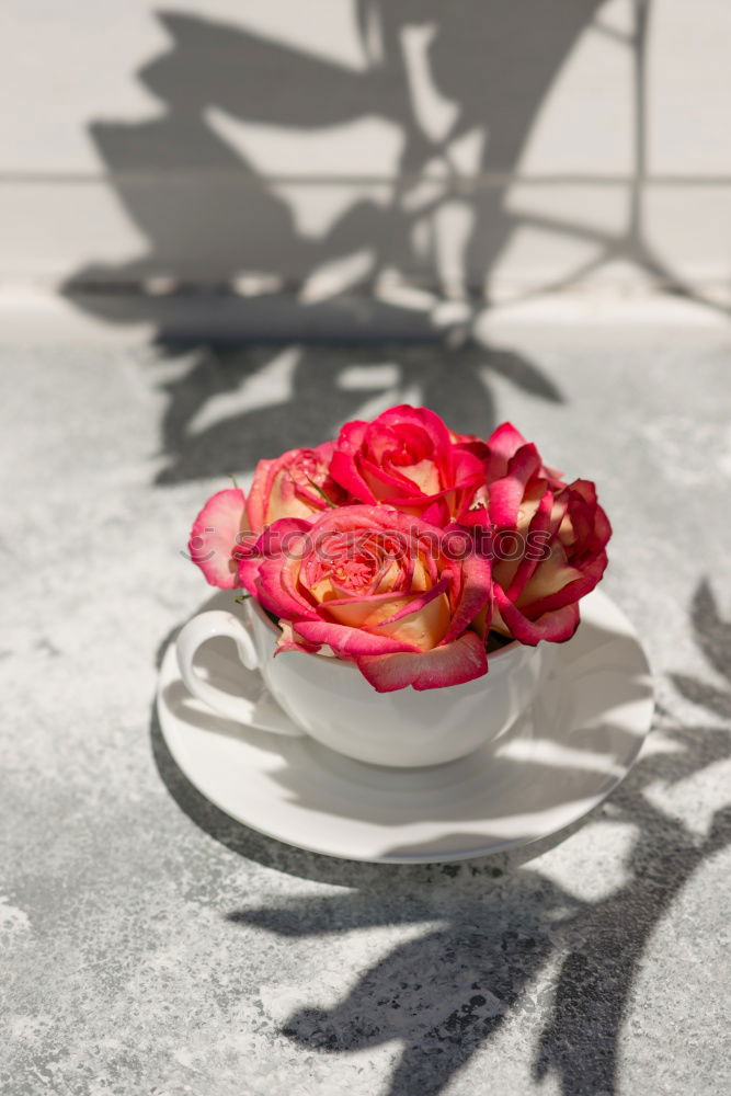 Similar – Image, Stock Photo tropical fruits