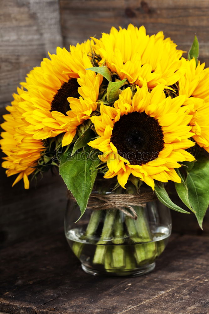 Similar – Image, Stock Photo Autumn bouquet of flowers with sunflowers