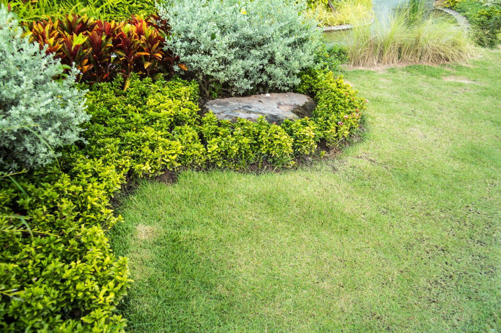 Similar – Image, Stock Photo Bird’s eye view of the terrace