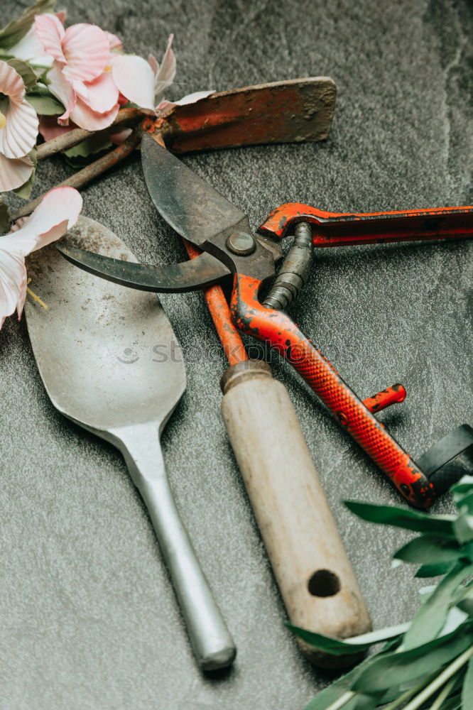 Similar – Image, Stock Photo summer gardener table top view with garden tools
