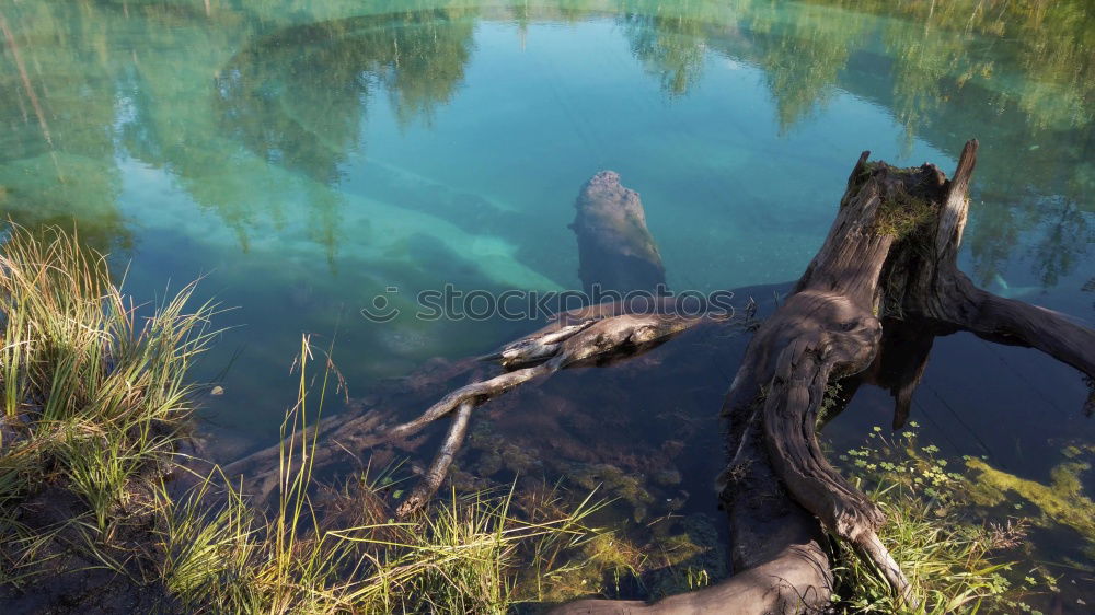 Similar – Image, Stock Photo #S# Bridge Nature Water