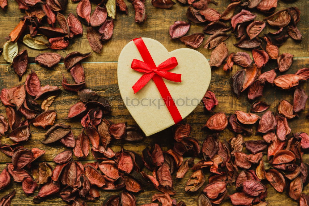 Similar – Image, Stock Photo Beautiful heart maked with dry petals