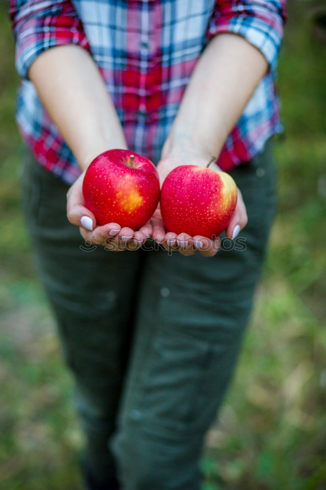 Similar – Flatlay of woman’s hands holding red ripe organic apples