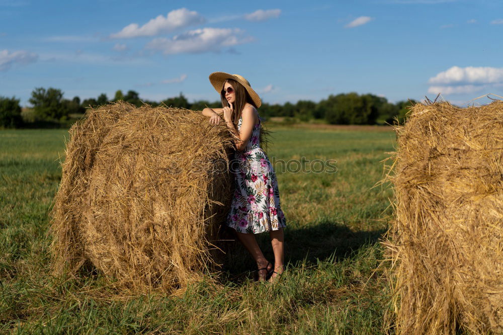 Similar – Foto Bild Gelb Erholung Sommer