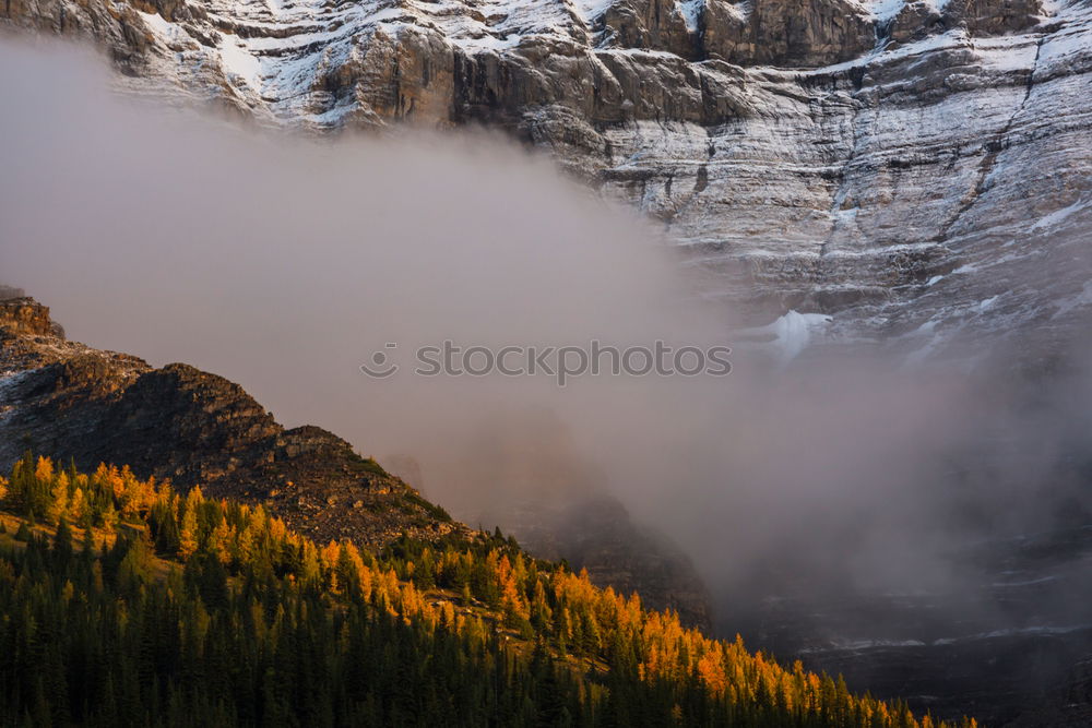 Similar – Autumn in the Rocky Mountains