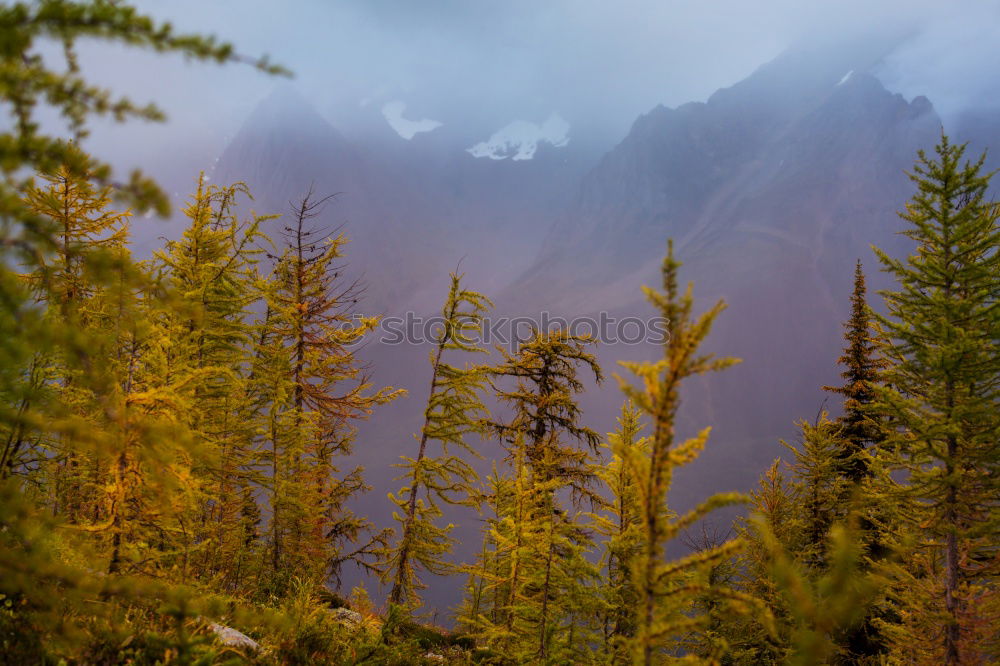 Similar – Image, Stock Photo Perito Moreno II Tourism