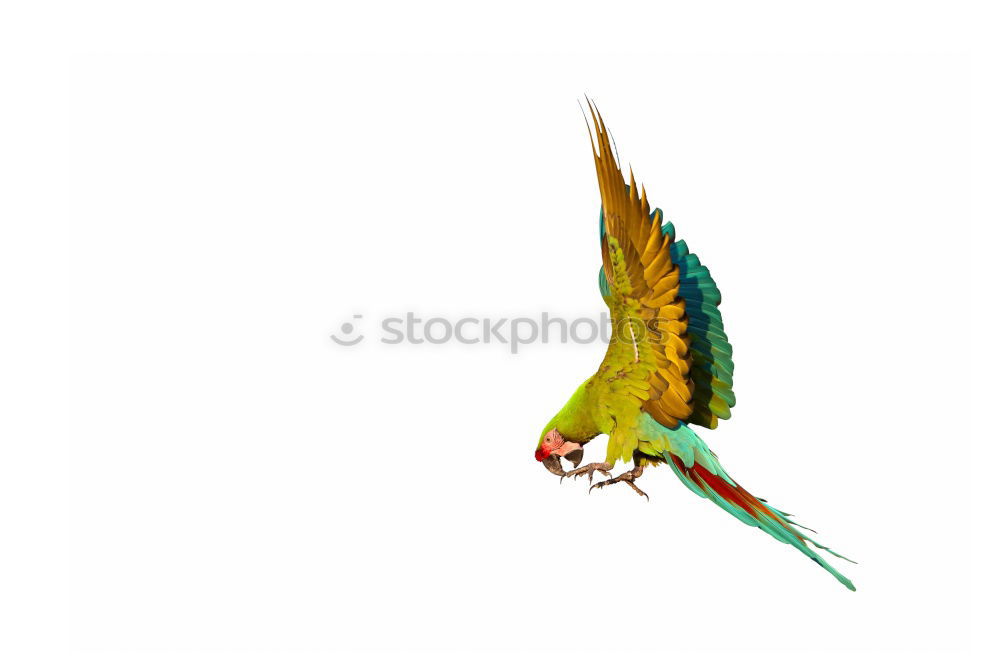 Similar – Image, Stock Photo colour flex Elements Air