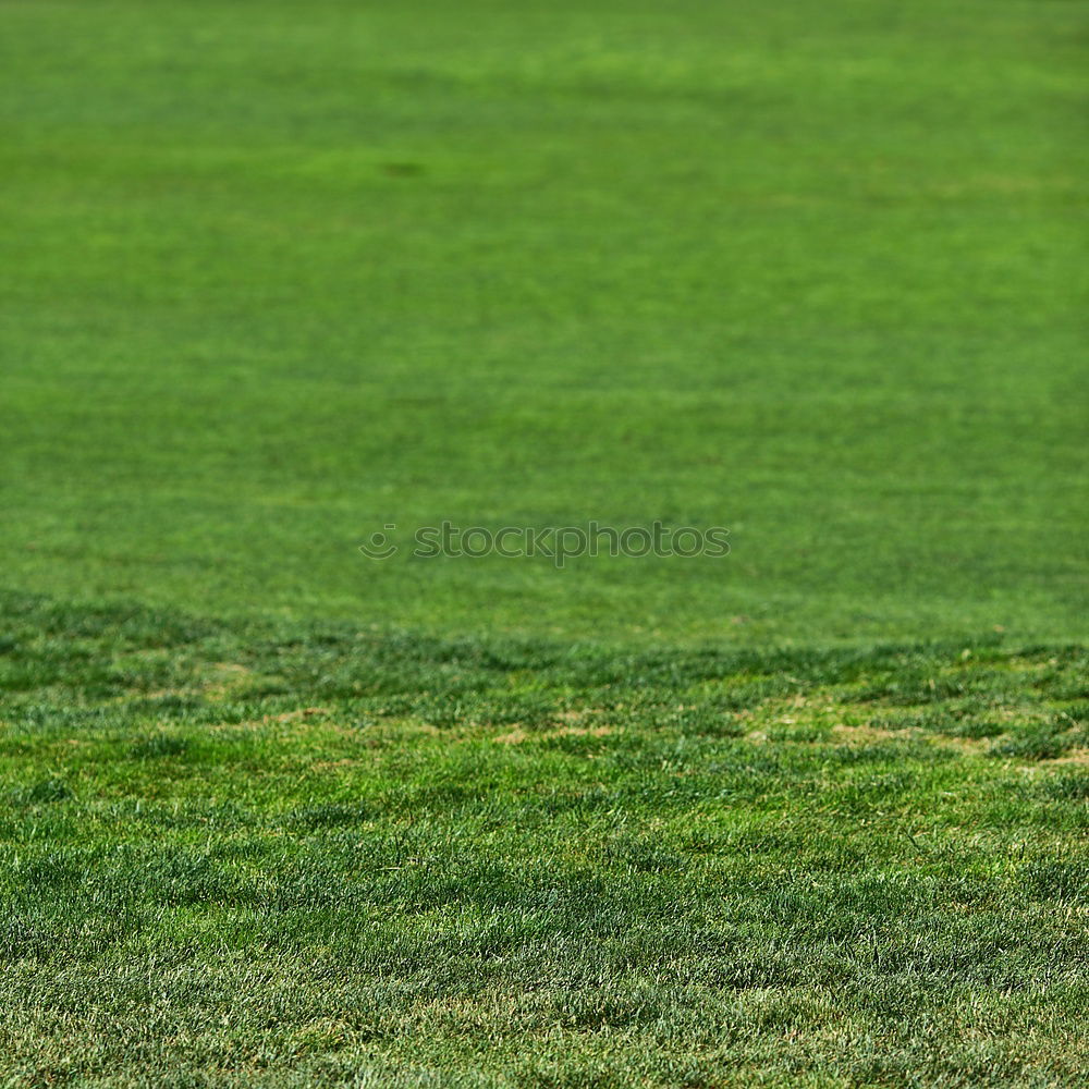 Similar – Foto Bild Zaungäste Fußballplatz