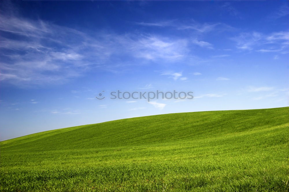 Similar – large green meadow_03